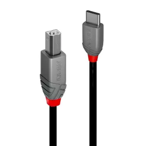 0.5M Usb 2.0 Typ C An B