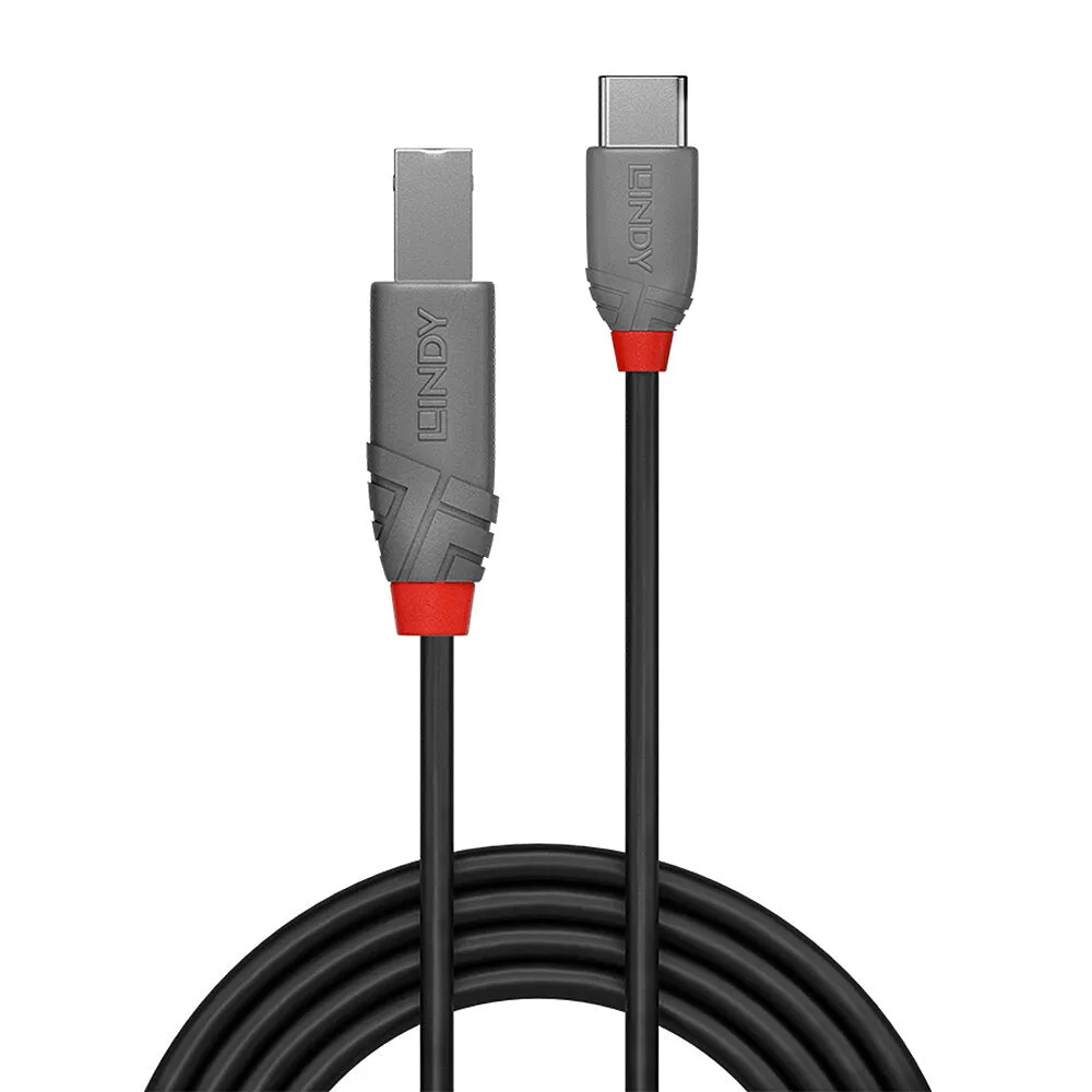 0.5M Usb 2.0 Typ C An B