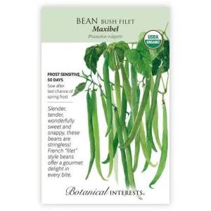 Bean Bush Maxibel Org Seed Pkt