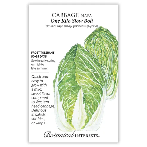 Cabbage Napa One Kilo hybrid Seed Pkt