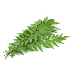 CURRY LEAVES