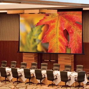 Draper Paragon V [HDTV 16:9] Electric Retractable Projection Screen 324" (160" x 284") 114615CB