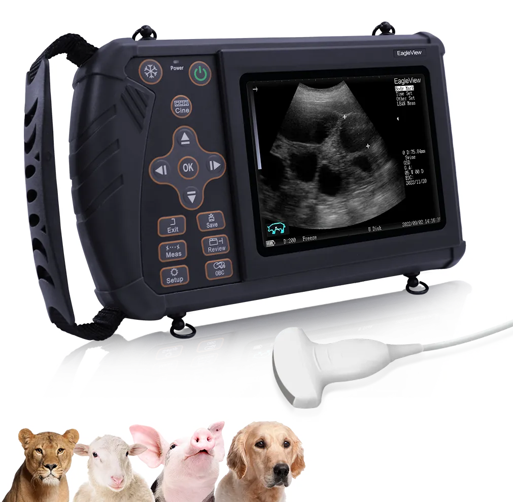 Portable Veterinary Ultrasound