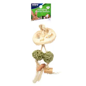 Ware Hanging Loofah Bunch