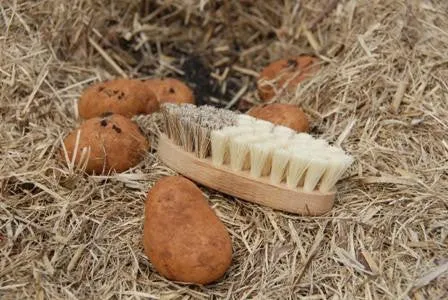 Wooden Vegetable Brush